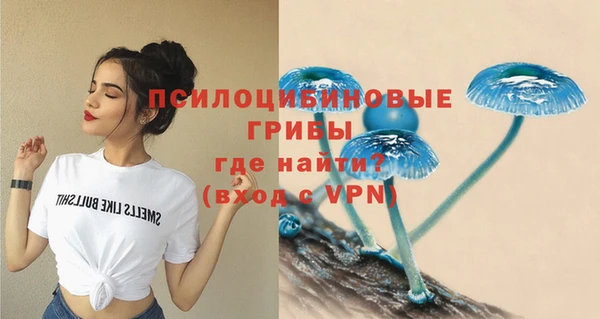 прущие крисы Горнозаводск