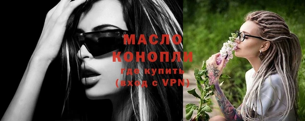 шишки Гусь-Хрустальный