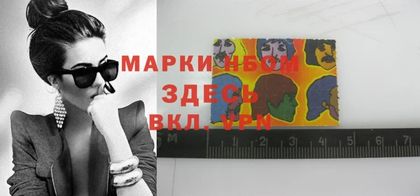 ПСИЛОЦИБИНОВЫЕ ГРИБЫ Горняк