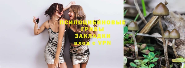прущие крисы Горнозаводск