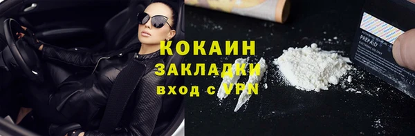 шишки Гусь-Хрустальный