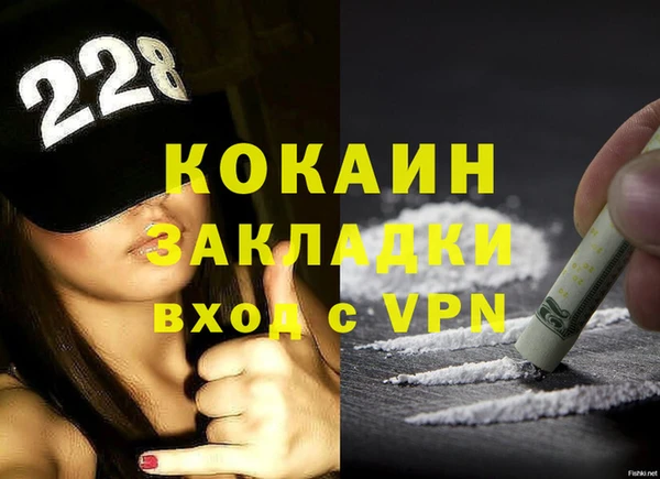 ПСИЛОЦИБИНОВЫЕ ГРИБЫ Горняк